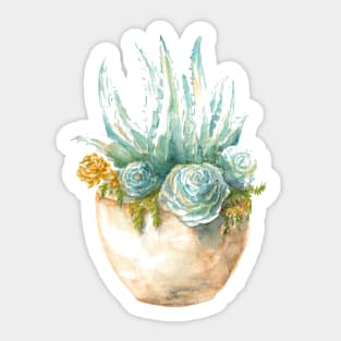 Succulent plants. watercolor. ragged edge Sticker